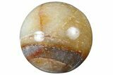 1.2" Polished "Moonstone" Sphere - Photo 2